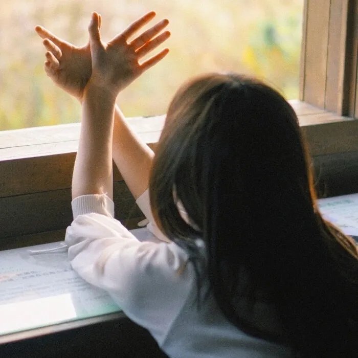 斯嘉丽小姐探案集第五季